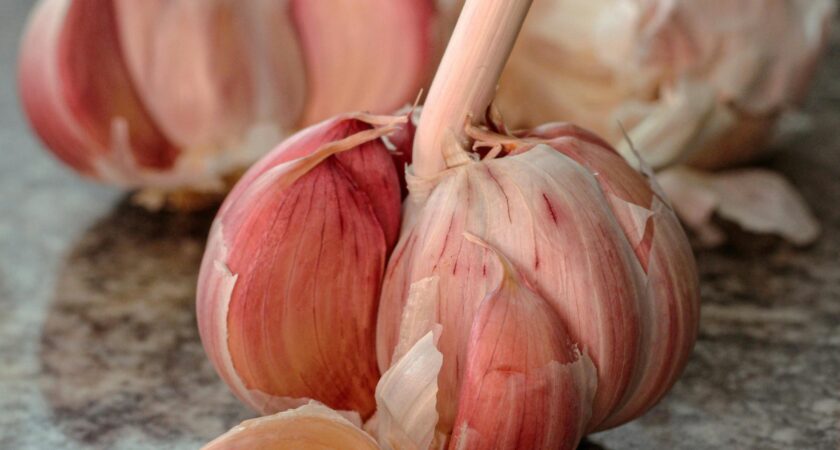 Knoblauch als natürliches Heilmittel – Effektive Hausmittel gegen Erkältungen und Infektionen