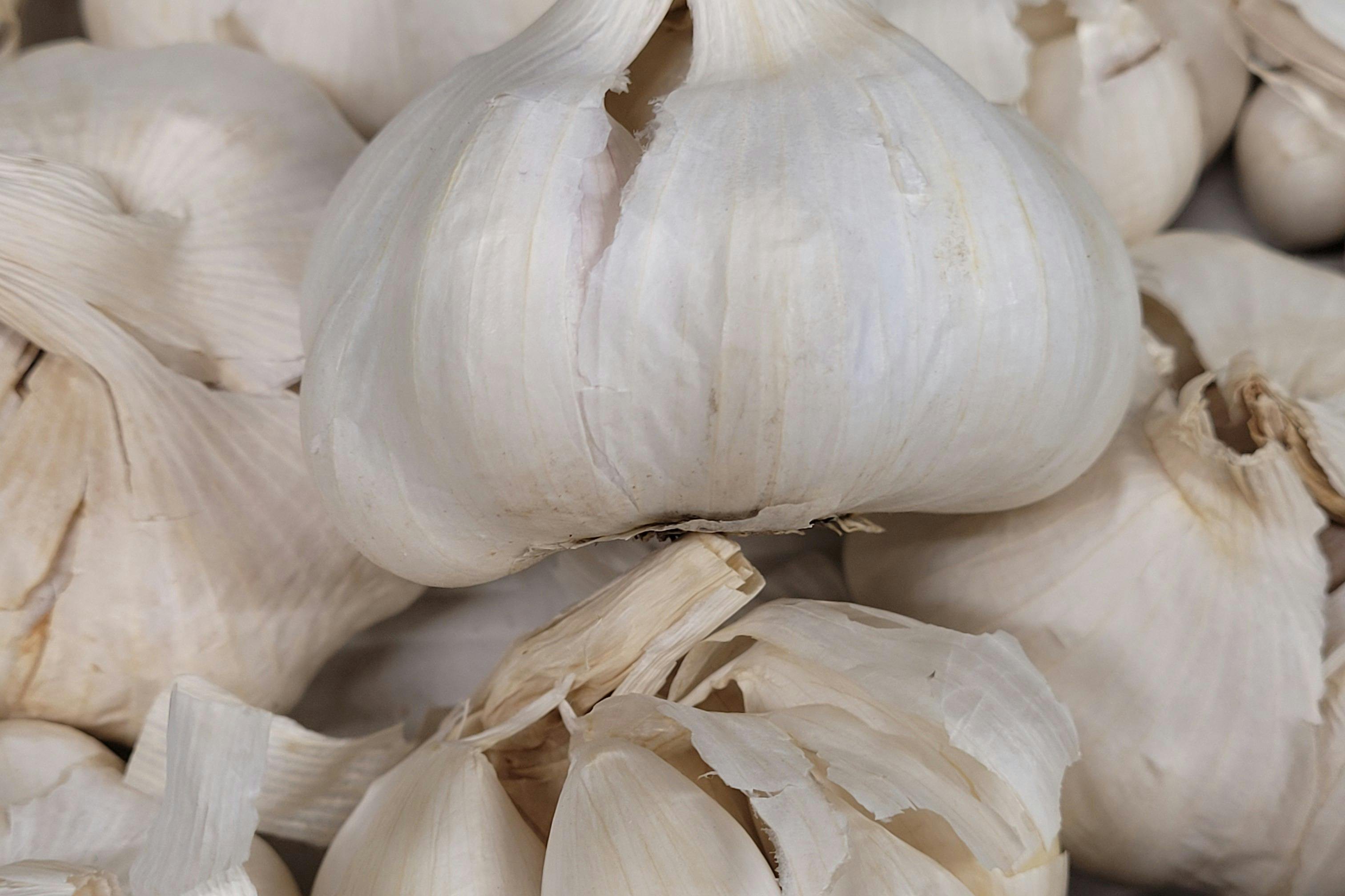 fresh garlic